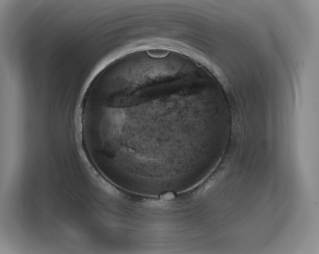 X0000113251522200909101418