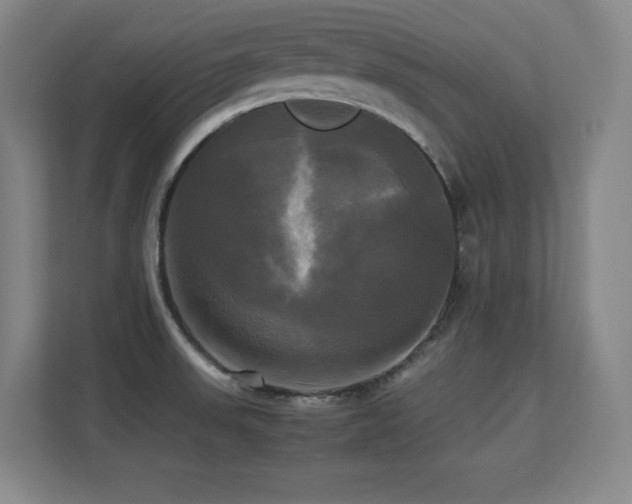 X0000113251523200909101418
