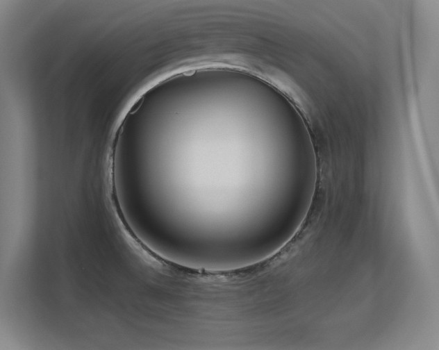 X0000113251524200909101418
