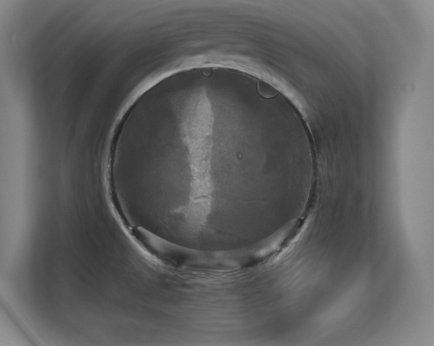 X0000113251525200909101418
