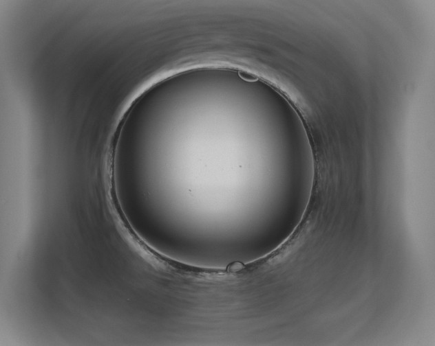 X0000113251526200909101418