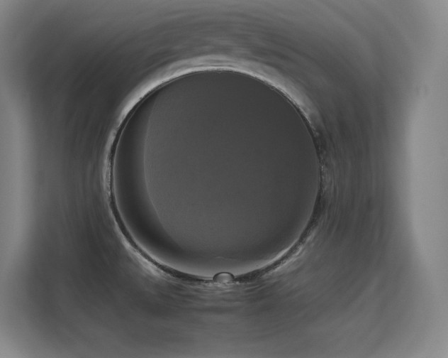 X0000113251527200909101418