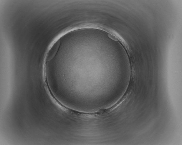 X0000113251528200909101418