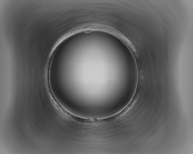 X0000113251530200909101418