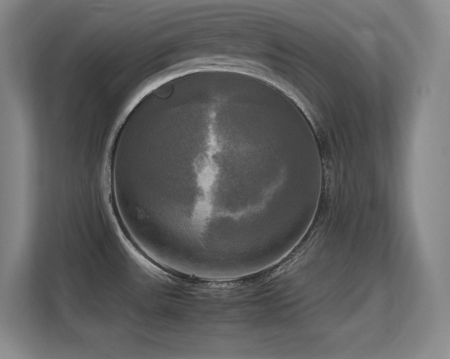 X0000113251531200909101418