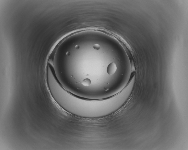X0000113251532200909101418