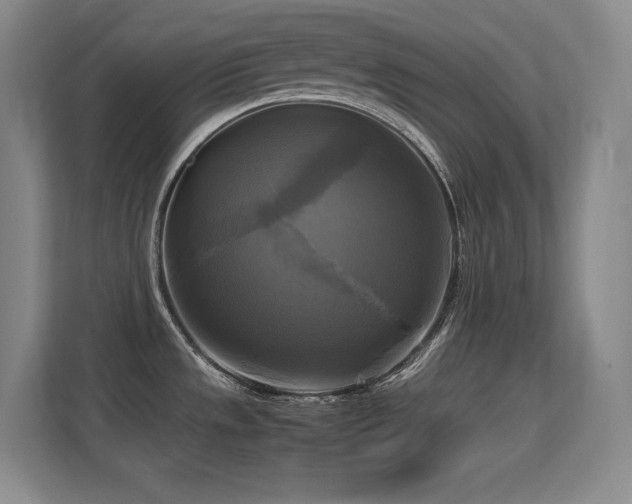 X0000113251533200909101418