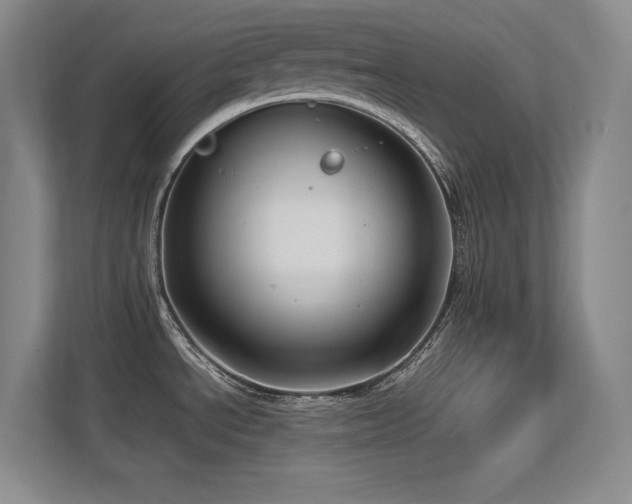 X0000113251534200909101418