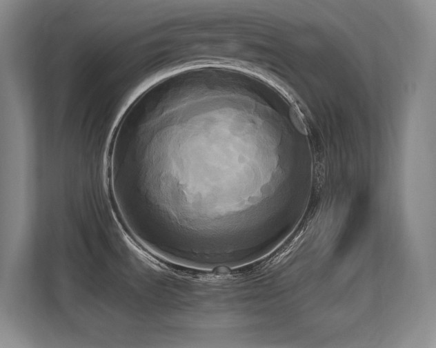 X0000113251535200909101418