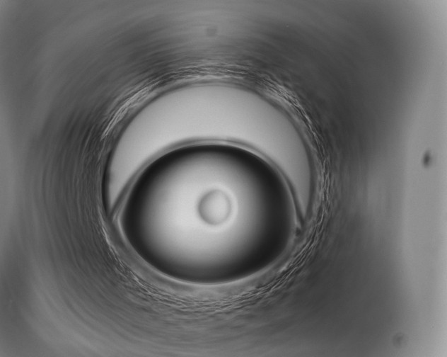 X0000113250001200909171637