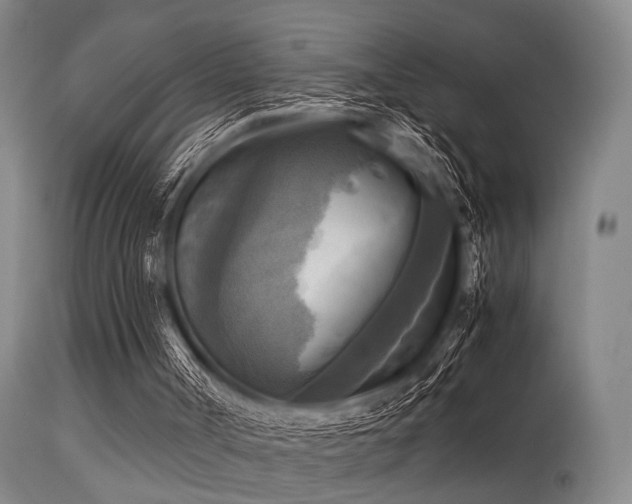 X0000113250002200909171637