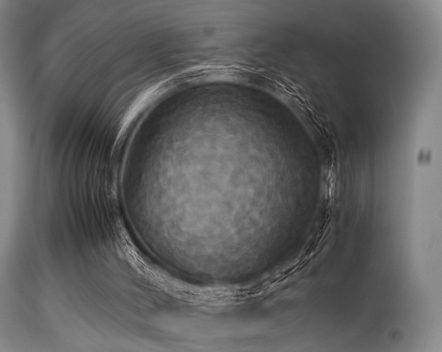 X0000113250004200909171637