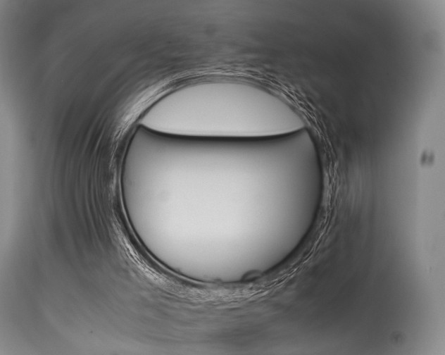 X0000113250005200909171637