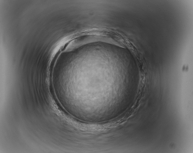 X0000113250006200909171637