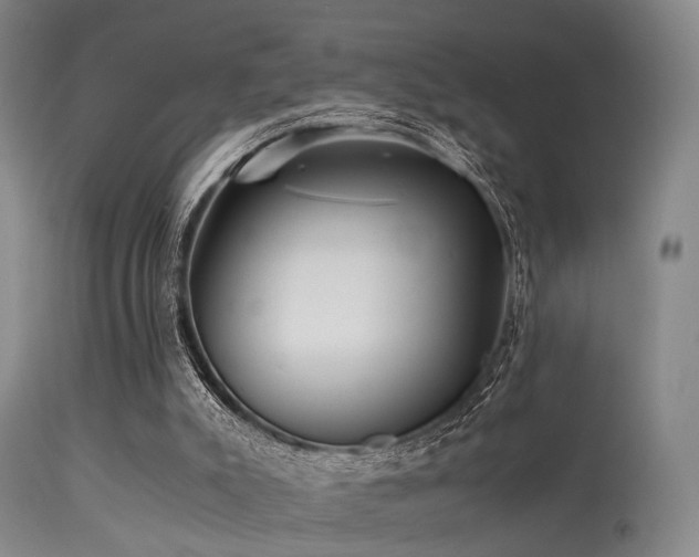 X0000113250007200909171637