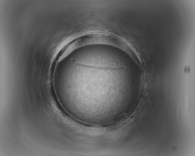 X0000113250008200909171637