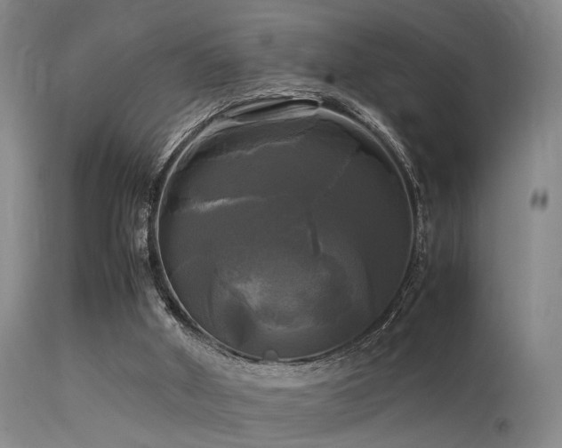 X0000113250010200909171637