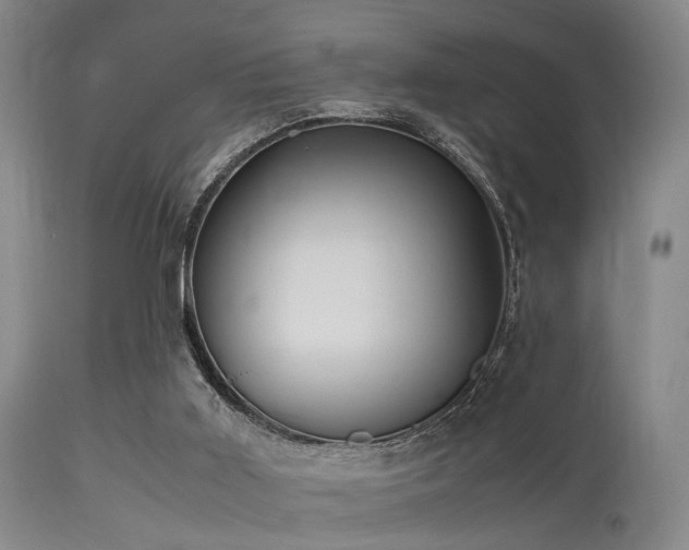 X0000113250011200909171637