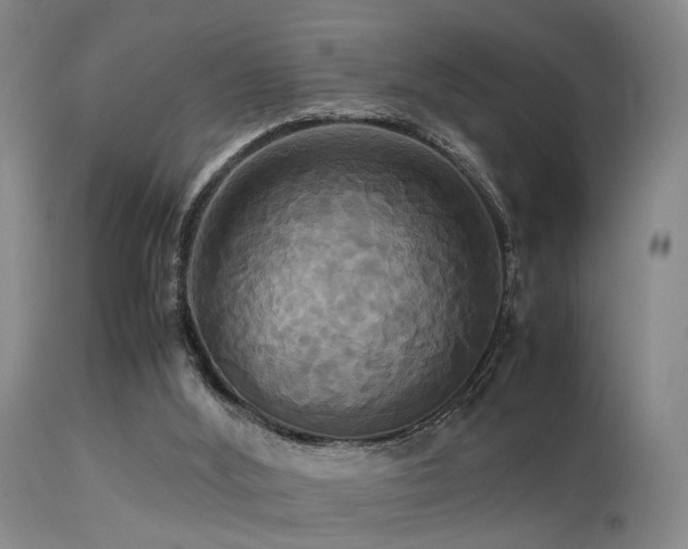 X0000113250012200909171637