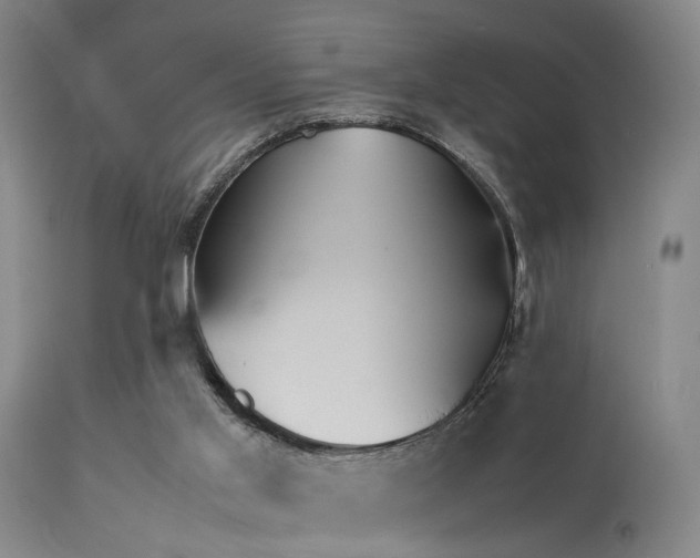 X0000113250013200909171637