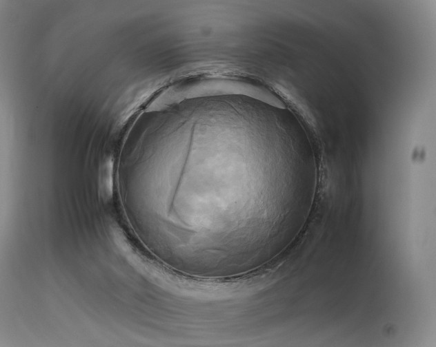 X0000113250014200909171637