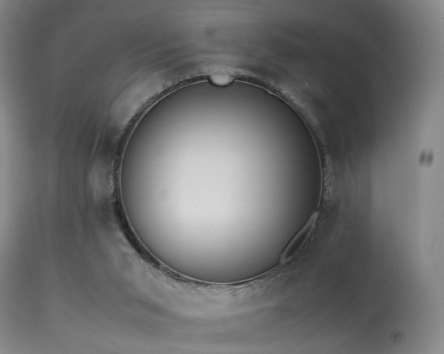 X0000113250015200909171637