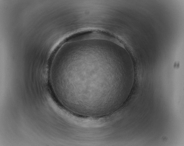 X0000113250016200909171637