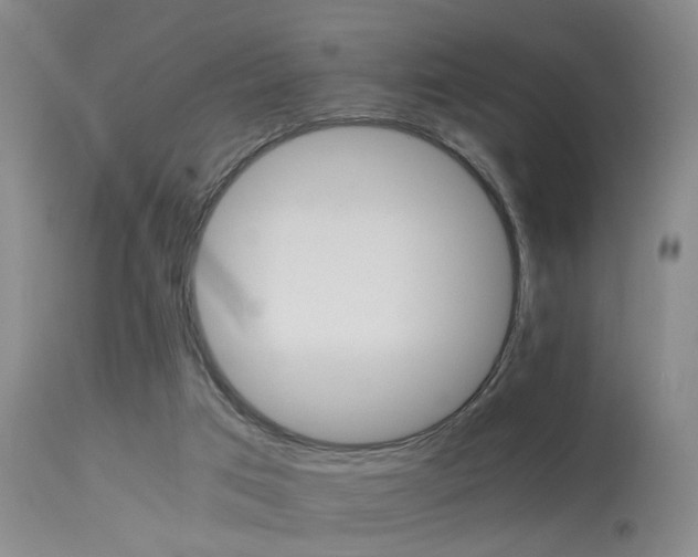 X0000113250017200909171636