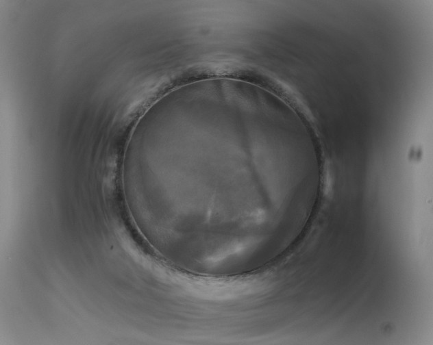 X0000113250018200909171636