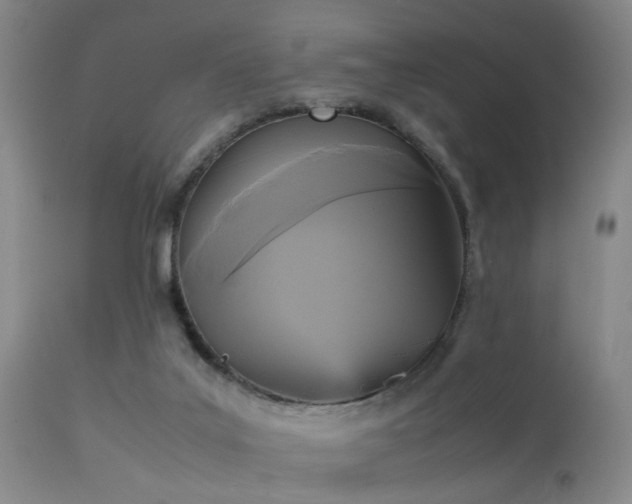 X0000113250019200909171636