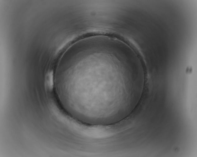 X0000113250020200909171636