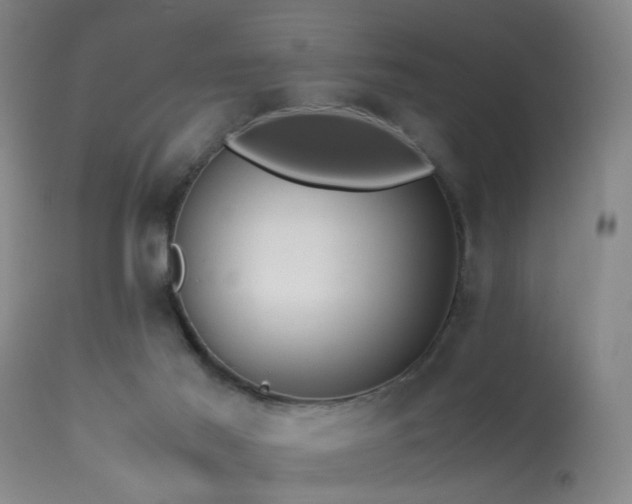 X0000113250021200909171636