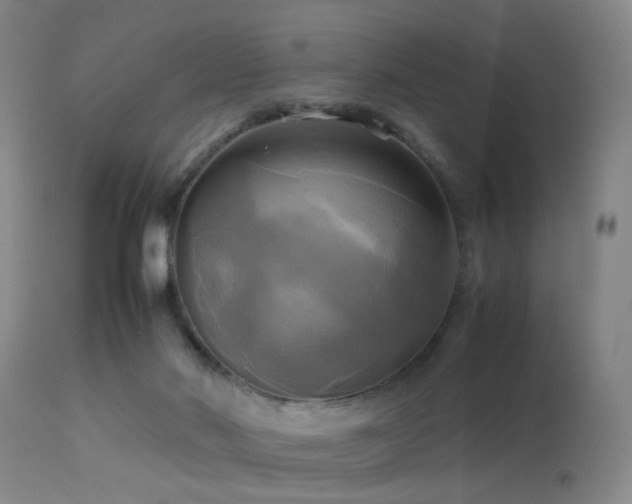 X0000113250022200909171636