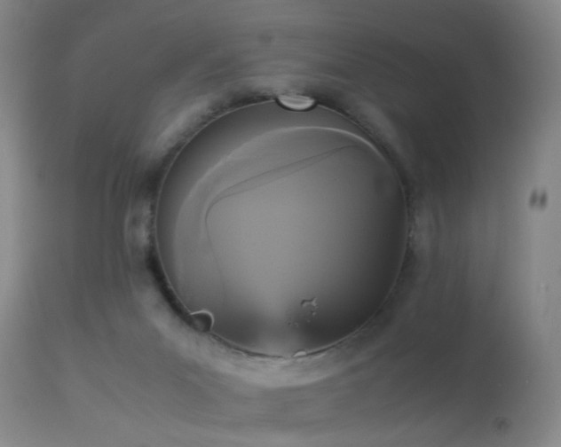 X0000113250023200909171636