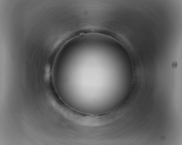 X0000113250024200909171636