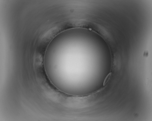 X0000113250025200909171636