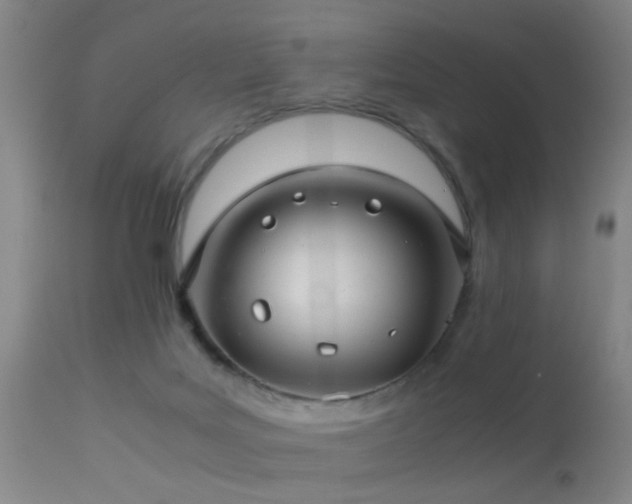 X0000113250027200909171636