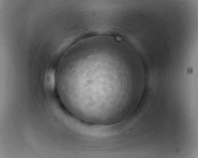 X0000113250028200909171636