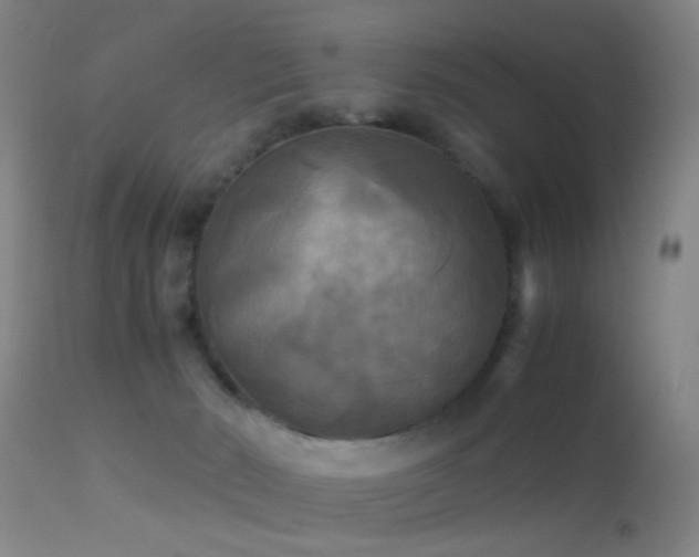 X0000113250030200909171636