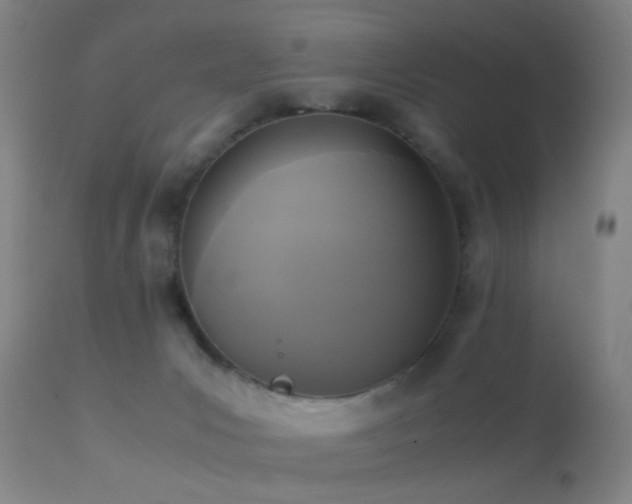 X0000113250031200909171636