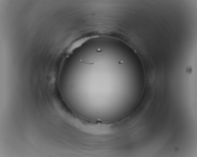 X0000113250032200909171636