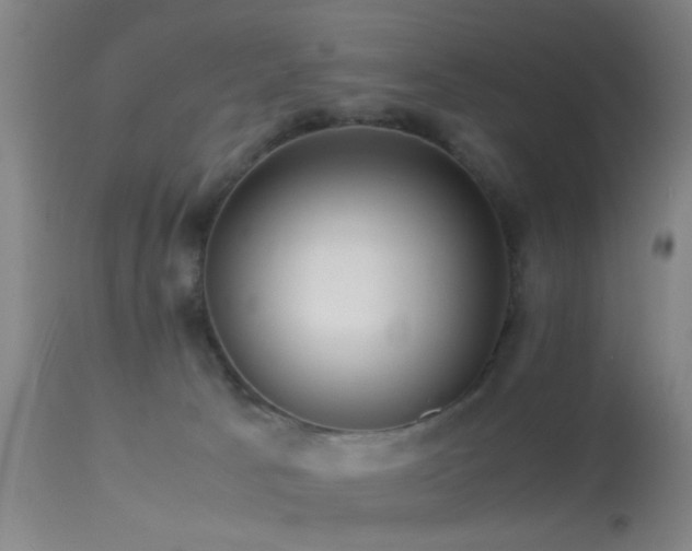 X0000113250033200909171636