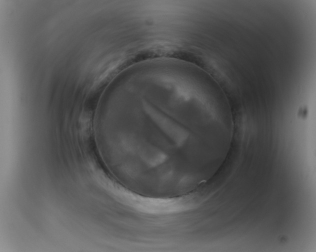 X0000113250034200909171636