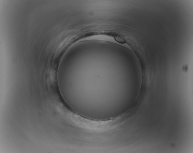 X0000113250035200909171636