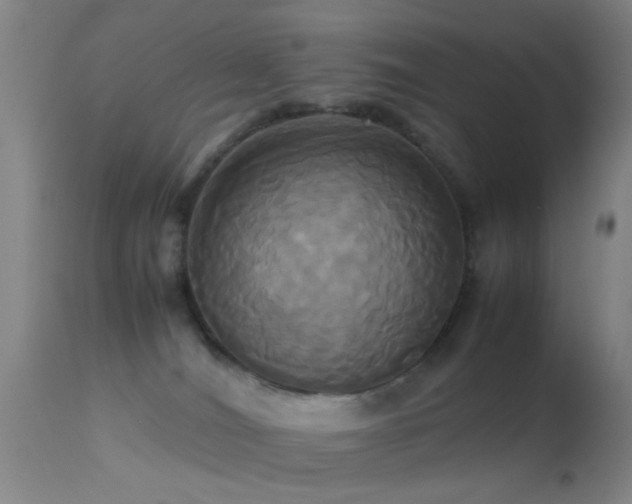 X0000113250036200909171636