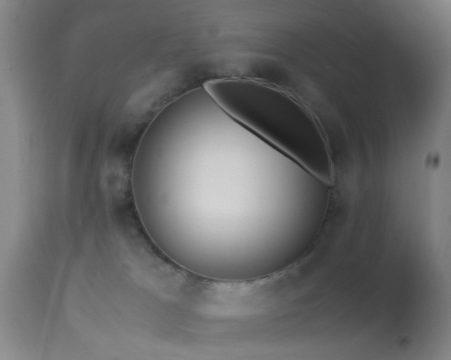 X0000113250037200909171636