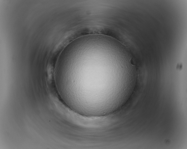 X0000113250038200909171636