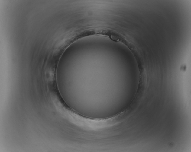 X0000113250039200909171636