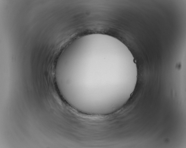 X0000113250040200909171636