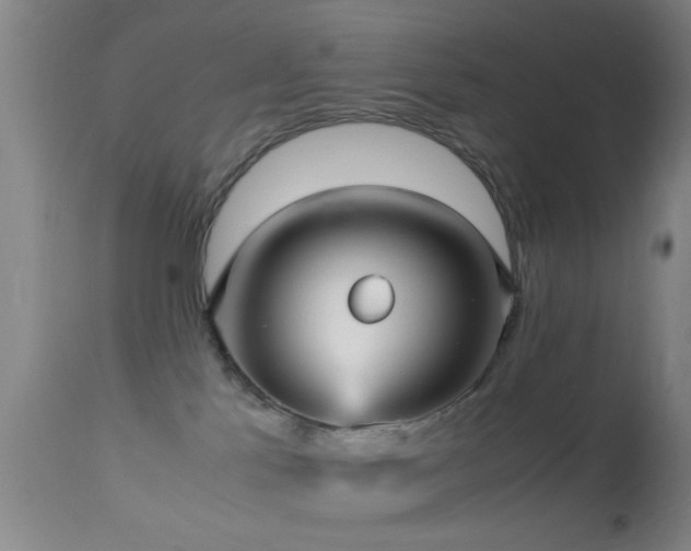 X0000113250041200909171636